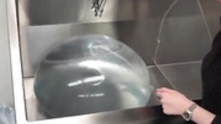 the future of boob implants is it possible?