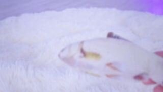 mycherrycrush kitty anal slave