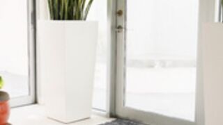 Stella Is A Busty Sex Crazed CHEATER