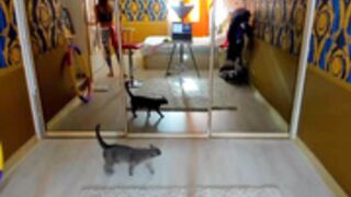 _F|_||\|$!Z3_$3XY 2021-09-29_00-37-45_904