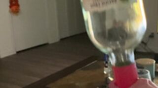 Cheerleaderkait Bottle Blowjob Skills