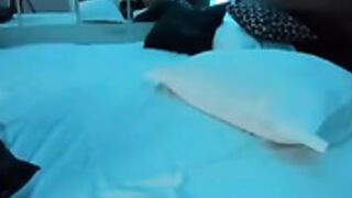 ✫ ǩîttŷřâvě ☆