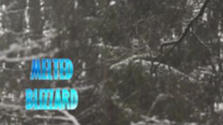 Pitykitty: Melted Blizzard Mei Overwatch