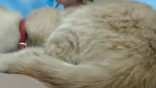 Lydia_laurel webcam recording 2014 September 25_06-39-18