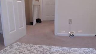 Katnisevergreen cam recording 2014 September 23_12-30-34