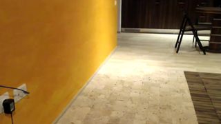 kissofacobra mfc 280816