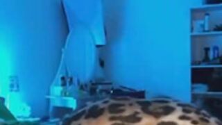 Celine centano leopard onlyfans 04