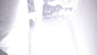 Allegra Hidden Camera