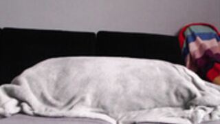 hondagirl 2021-10-12