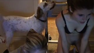 Le_lea rides a sybian