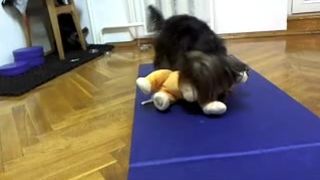 snowwhite4you 12-04-14 Free NN