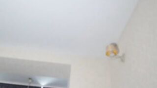 RoomToAvoid October 20 2021 7-2-16