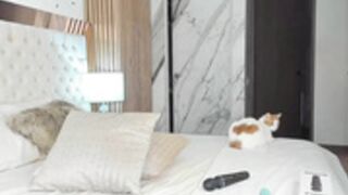 kitten abie_ owen 19-10-2021