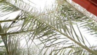 Hegre - Katherina Ebony Beauty