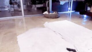 P3T!T3|\/|4R!3 2021-10-21_20-23-40_431