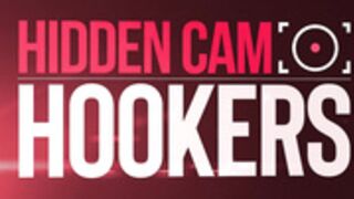 asian thai chick inn hotel