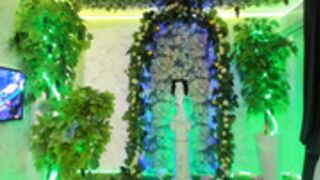 CB elisa oliver link full in desription 2