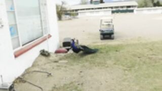 chelseacharms versus the peacock