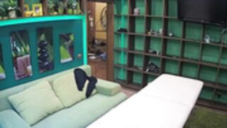 voyeur-house elon and guest fun