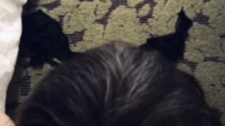 Lezley Zen BJ
