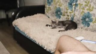 Barsikmeow total show cum face 25-11-2021