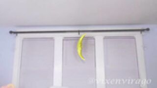 vixenvirago 2021-11-30