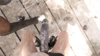 Quiet VS Diamond Horse