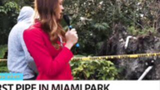 Charity Crawford News Reporter Sucks & Fucks