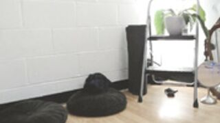 Fruitythot BG Short Hair Asian Takes BBC