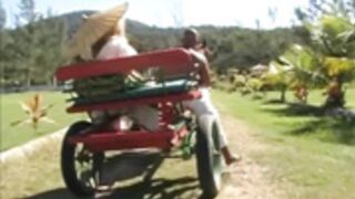 Brazilian Babalu Action Drama Themed