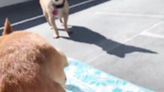 VanessaJames ♥♥♥♥♥♥♥♥♥♥♥♥♥♥♥♥♥♥♥♥♥♥♥♥♥♥♥♥♥♥♥♥♥♥♥♥♥♥♥♥♥♥ 13