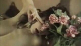 donna ewin classic boobs