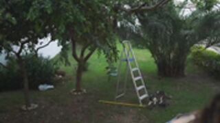 |o0||yp0p24 2020-10-30_14-23-15_86202