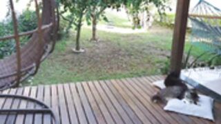 |o0||yp0p24 2020-10-27_15-02-10_43401