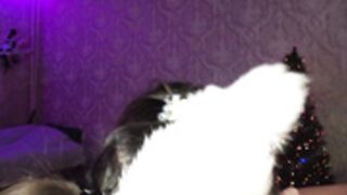 Vrchan 2021-12-25 3of4