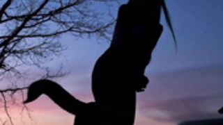 Coy_amina sunset dance, no nudity