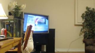 NikkiiKay 26/04/2014 Nikoleknight