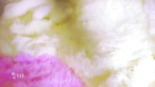 Amy_Karamel Stirrs her Pink Cunt Caramel