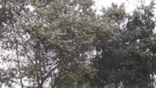 Carlotta Champagne - Topless Spray Paint