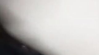 purrincess 2