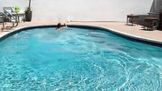 Aleen N Johnson OF 3