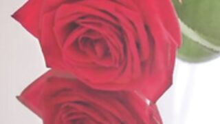 high school girl rides dildo for your enjoyment