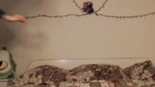 wacky_maura aka maura_shy highlights 4/6