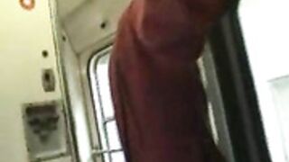 amateur blowjob in a train