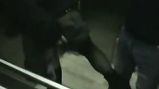 amateur blowjob in an elevator