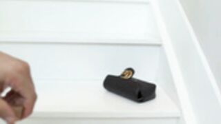 Peach & lily welcome you to school