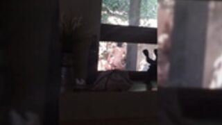 M1a Malk0va - V.I.P. Video 06