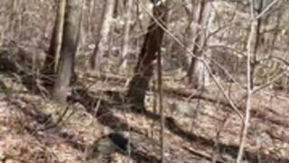 Danni Gee public woods flashing