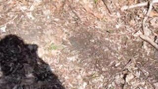 Danni Gee public woods flashing