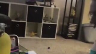 Ripoff streamer beware